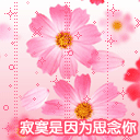 不爱表情包,执着表情包,错过表情包10