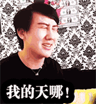 小狗睡觉表情包动态图2