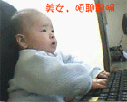 表情包图库可爱猫咪4