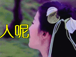 证书表情包5