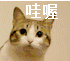 以喜怒哀乐表情写一篇短文10