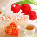 朱家喜怒哀乐表情6