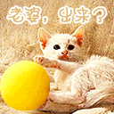 悲剧的表情包5