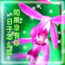 呆萌颜文字表情符3