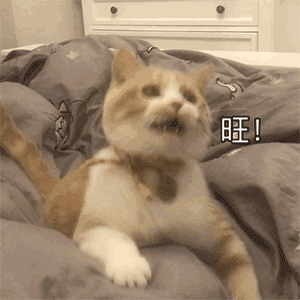 全网最火可爱特殊符号4