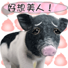 各样表情包图片带字11
