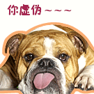 可爱表情包女孩2