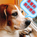 送美女表情包9