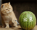 查询了生气的表情4