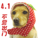 猴子表情包大全搞笑版6