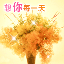 经典儿歌大全表情哥3