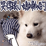 委屈表情包搞笑图片狗10