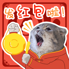 偷偷减肥然后惊艳所有人表情包12
