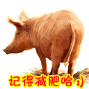 滚的暴走表情5