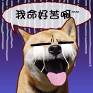 端午动画表情祝福语8