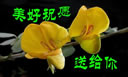 表情包动态图恐怖版11