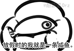 超级可爱的猫咪表情包10