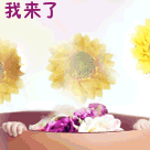袋鼠动态表情8