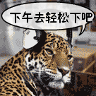 每天都来群里消毒表情包13
