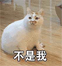 表情包gif沙雕熊猫8
