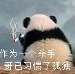 丁丁的表情动态9