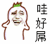 原神公子魔王武装表情包1