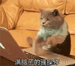 熊出没表情包暴走8