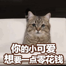 抢男朋友生气表情包2