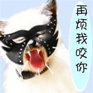 精选12组馆长的微信表情包1