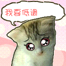 超萌卡通表情包1