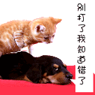 比喻摩托车的祝福表情12