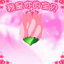 大胸美女道歉图片表情包5