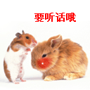 下雨天问候表情包7