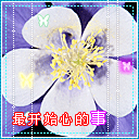 搞怪表情像素画8