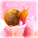 爱情会让人不幸表情包4