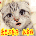 爱情商店表情包10