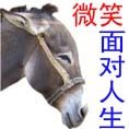 精选8组淋湿的表情图5