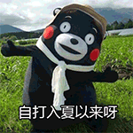 羊驼表情包动漫5