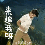 闯祸表情包2