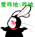 张学友猪队友表情包5