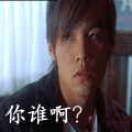 绝世大美女表情包4