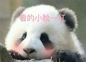 表情加文字祝福语11