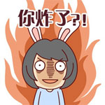 辣鸡思域微信表情包2