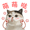 浪漫爱情真人动图表情2
