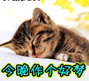猫咪咆哮表情包3