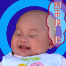 多个美女表情包14