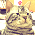 巴尔表情包原神7