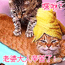 梦幻西游聊天表情快捷键是什么1
