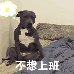 球球群表情大全图片9