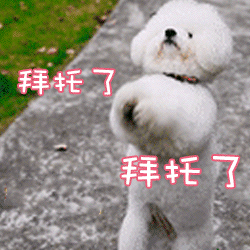 多种图片文字表情12